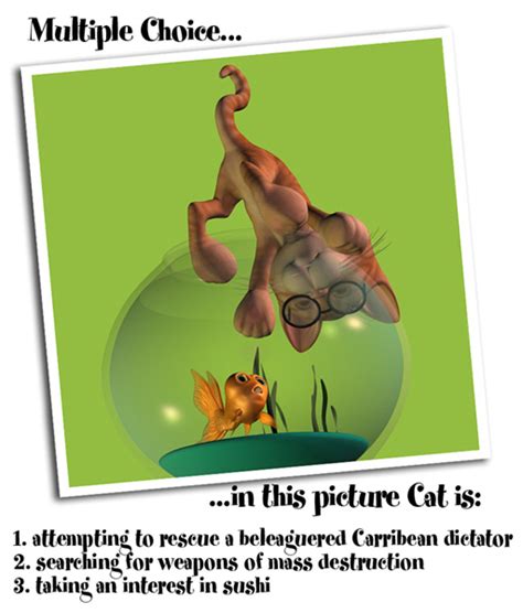 Cat political cartoon by bitmap0023 on DeviantArt