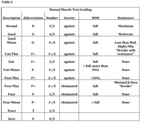 Manual Muscle Testing Grading