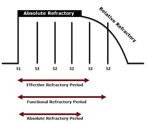 Refractory periods | ECG Guru - Instructor Resources