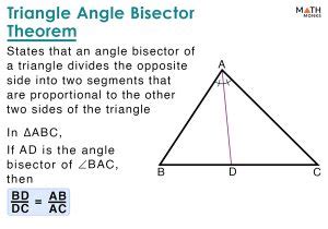 Angle Bisector of a Triangle – Definition, Theorem, Examples