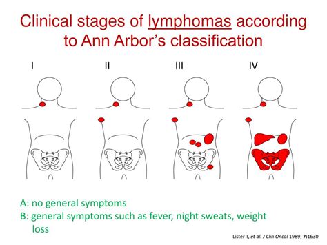 PPT - The Chronic Lymphocytic Leukemia (CLL) PowerPoint Presentation ...