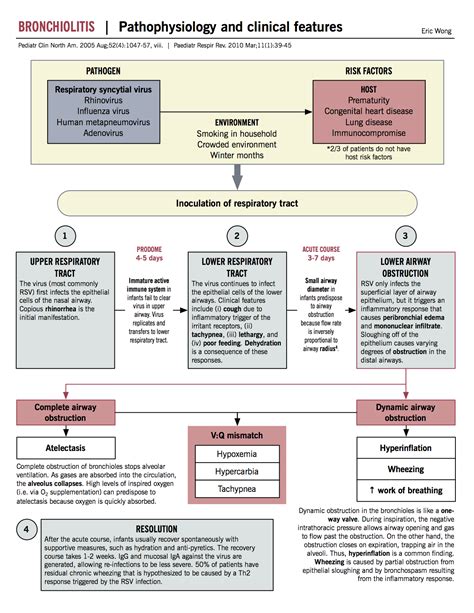 Pathophysiology and clinical course of bronchiolitis – McMaster ...