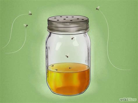 Gnat trap: poke holes in lid of mason jar and fill to 1/3 mark w apple cider vinegar. | How to ...