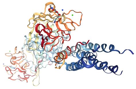 Fibrinogen Gamma Chain Protein Overview | Sino Biological