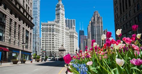 $59+ Flights to Chicago, Illinois | Cheapflights