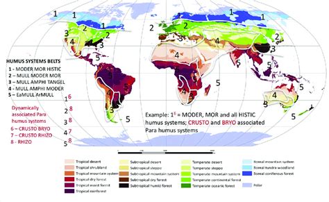 Global ecological zones of the world... | Download Scientific Diagram