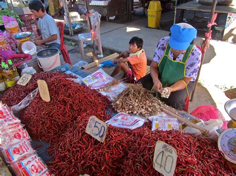 Expat Teacher in Thailand: Thailand Village Life