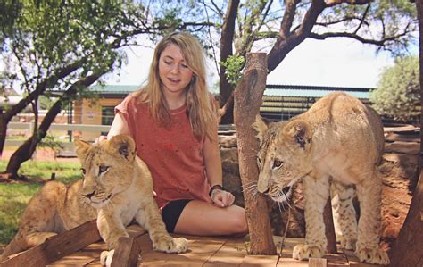 Volunteering with Lions in Africa