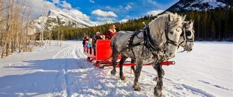 Banff Winter Activities for Families | Discover Banff Tours