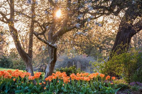 Spring garden ideas: 17 ways to welcome warmer weather | Gardeningetc