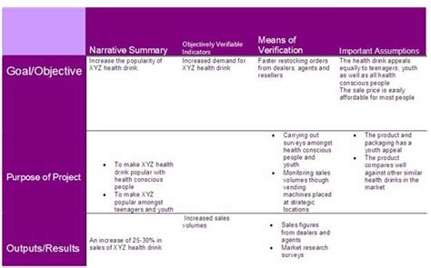 Example of a Logframe Matrix: Explanation & Free Download