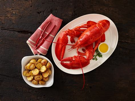 When is Maine Lobster Season? | Klenda Seafood