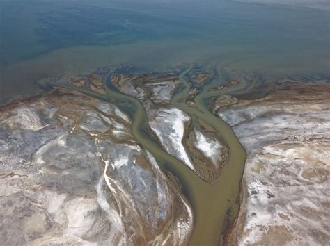 A bird-foot delta forms as Lee Creek sinuously winds through mud flats along the southeastern ...