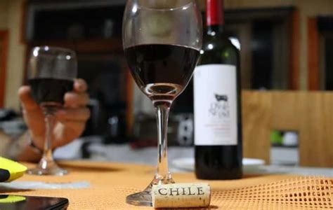 Chilean Wine Lovers Guide | Kuoda Travel