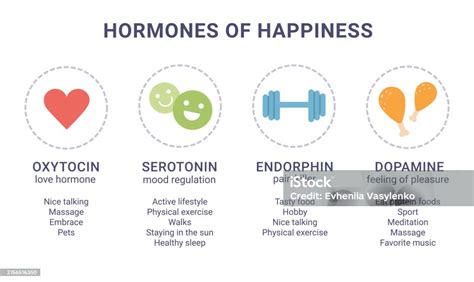 Scheme Of Happiness Hormones Icons Of Oxytocin Serotonin Dopamine Endorphin Brain Biochemistry ...