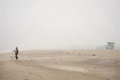 A person walking on the beach with a dog · Free Stock Photo