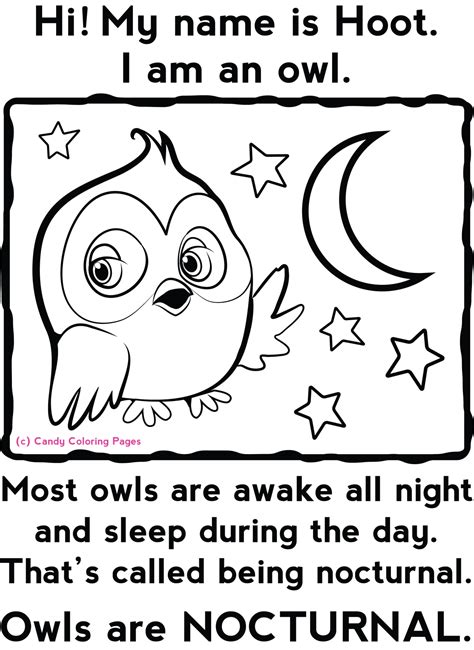 hoot the owl | Penny Candy Coloring Pages