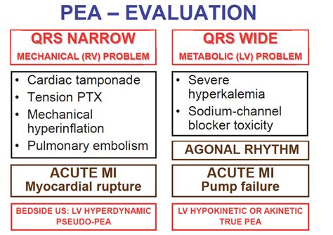 Beyond ACLS: A New Pulseless Electrical Activity Algorithm - REBEL EM - Emergency Medicine Blog