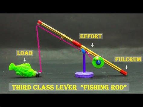 Third Class Lever | Fishing Rod - YouTube | Fun science, Fishing rod, Science fair