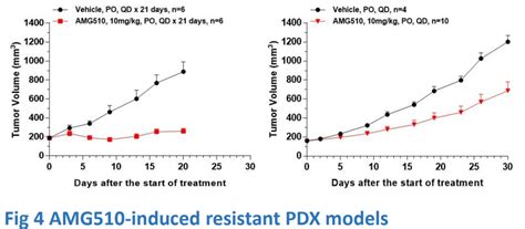 Establishment of KRAS-G12C inhibitor induced resistant tumor models ...