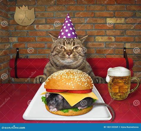 Cat Eats Mouse Burger in Restaurant Stock Image - Image of cafeteria, funny: 183133269