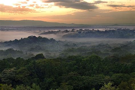 Kakamega Forest | Kenya Travel