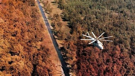 The Red Forest - Chernobyl - 1986 (It is red because all the pine trees have died from the ...