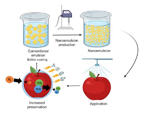 Foods | Free Full-Text | Nanoemulsions as Edible Coatings: A Potential Strategy for Fresh Fruits ...