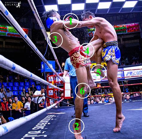 Effective Muay Thai techniques: how to dominate in the ring | Muay thai ...