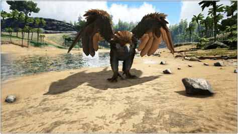 Ark Griffin Guide (Abilities, Taming, Food, Saddle, Breeding, Drops ...