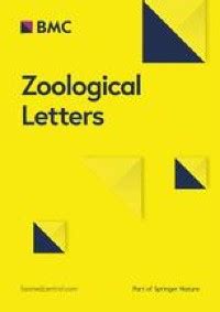 Scleral appearance is not a correlate of domestication in mammals | Zoological Letters | Full Text
