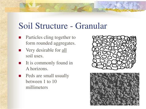 PPT - Soil & Land Management Agriscience Applications PowerPoint Presentation - ID:773190