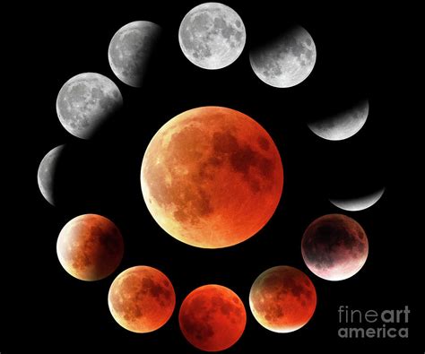 Red Moon Phases In Circle Photograph by Benny Marty - Pixels