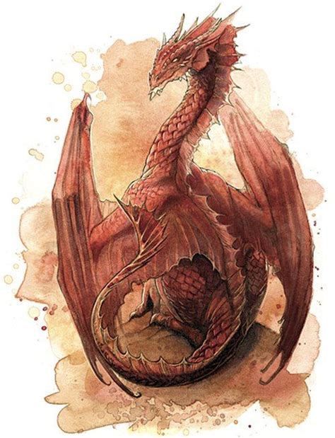 Red Dragon drawing. | Dragon artwork, Dragon images, Dragon pictures