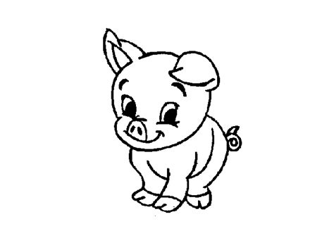 HWFD - Cute Baby Pig Coloring Pages Free | HD Wallapapers Free Download