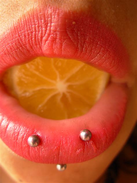 File:Labret piercings and lemon.jpg - Wikipedia