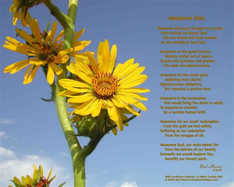 Sunflower Quotes Or Poems. QuotesGram