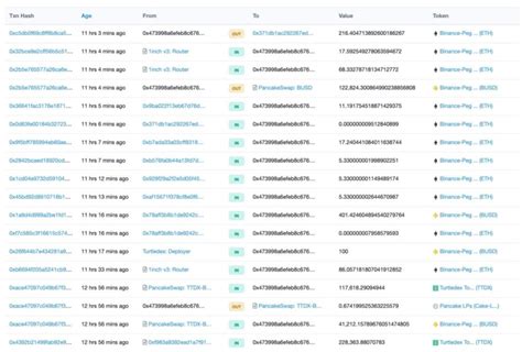 Binance Smart Chain Faces Yet Another Rug Pull By DeFi Platform ...