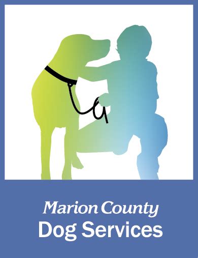 Pets for Adoption at Marion County Dog Shelter, in Salem, OR | Petfinder