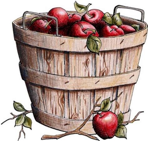 Apple Bushel Clipart