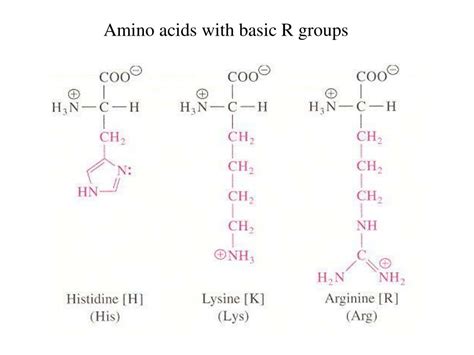 PPT - Amino Acids and the Primary Structures of Proteins PowerPoint ...