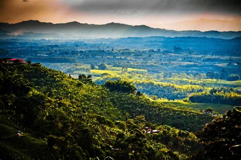 Colombian coffee culture landscape in city of Pereira, Colombia - Dr ...