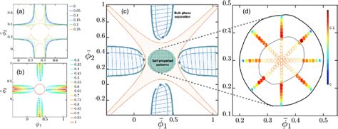 Phase diagrams for pattern formation in the NRCH model. The spinodal... | Download Scientific ...