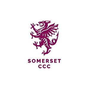 Hampshire Cricket logo transparent PNG - StickPNG