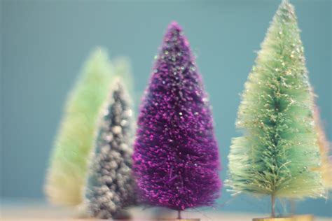 sassafras: multi-color trees :: diy