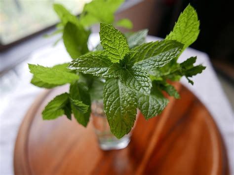 How to make mint tea from fresh leaves? - Jo Alex Books