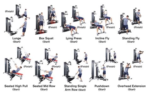 Full Body Machine Workout For Beginners - WorkoutWalls