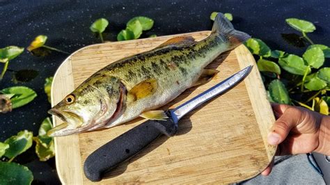 Grilled Whole Largemouth Bass Recipes | Deporecipe.co