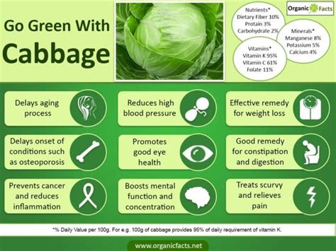 Amazing Benefits Of Cabbage — Steemit