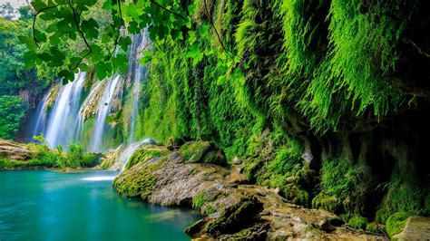 Tropical Rainforest Wallpapers - Top Free Tropical Rainforest Backgrounds - WallpaperAccess